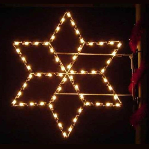 PM5-DEM-SF 5' Silhouette Dimensional Snowflake Lighted Decoration